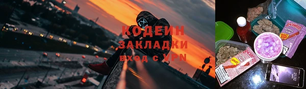 ПСИЛОЦИБИНОВЫЕ ГРИБЫ Фёдоровский