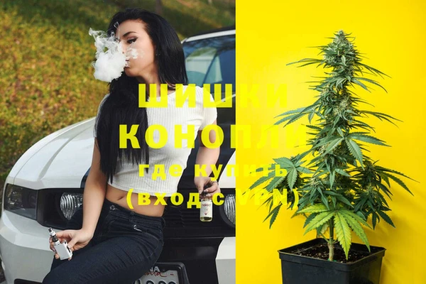 эйфоретик Пролетарск