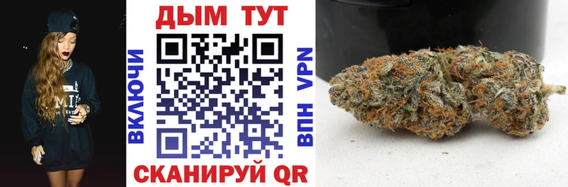 Марихуана OG Kush  Старица 
